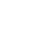 WordPress white logo